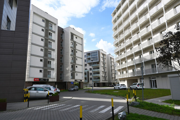 Obraz 0