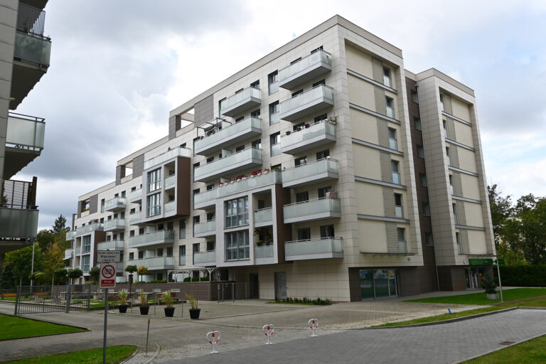 Obraz 3